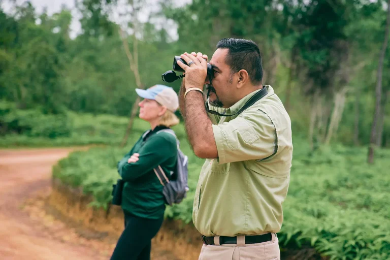 birding tour guide in mountain pine ridge