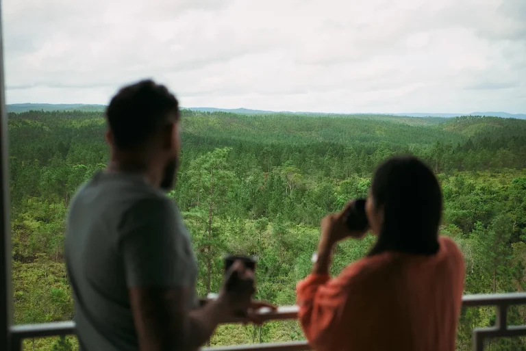 couple on tower watching view of pine forest