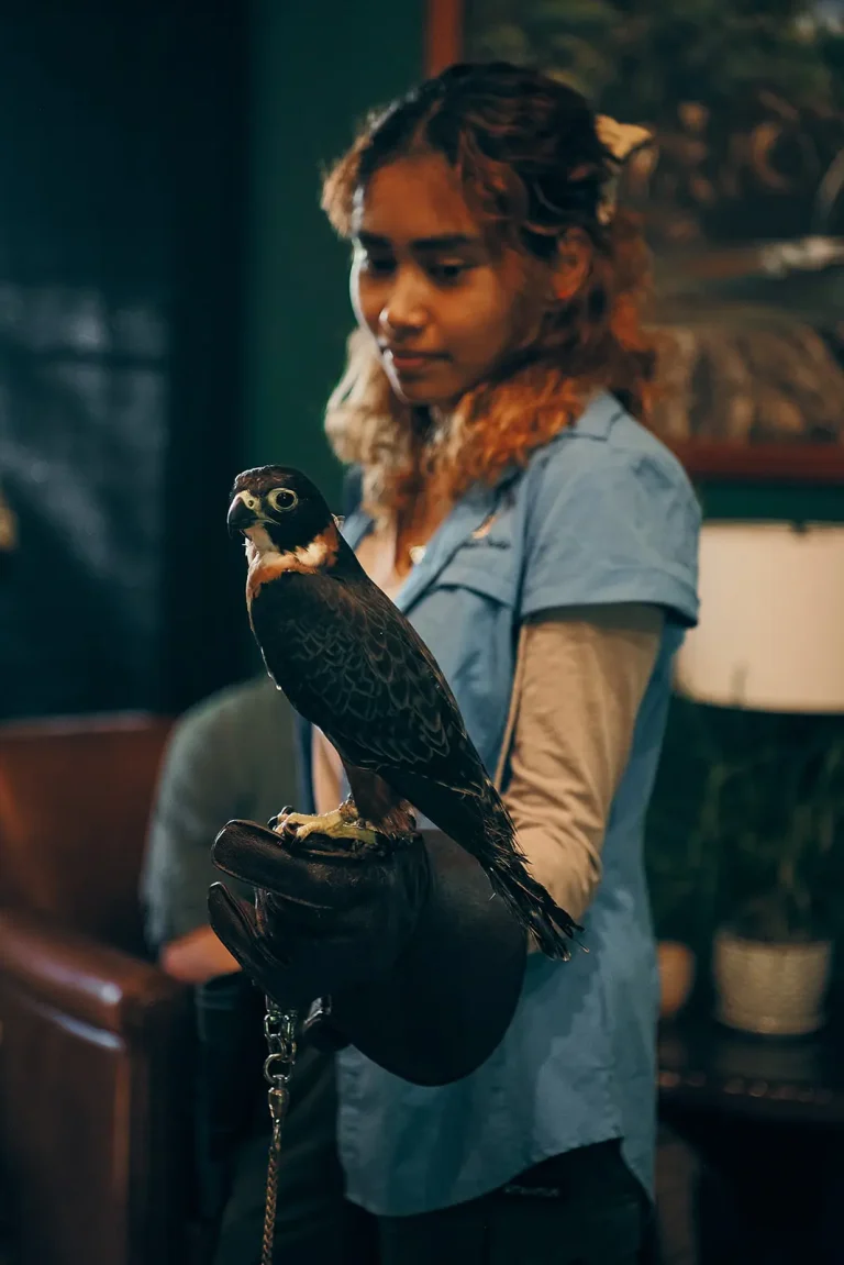 girl holding raptor in hand inside room