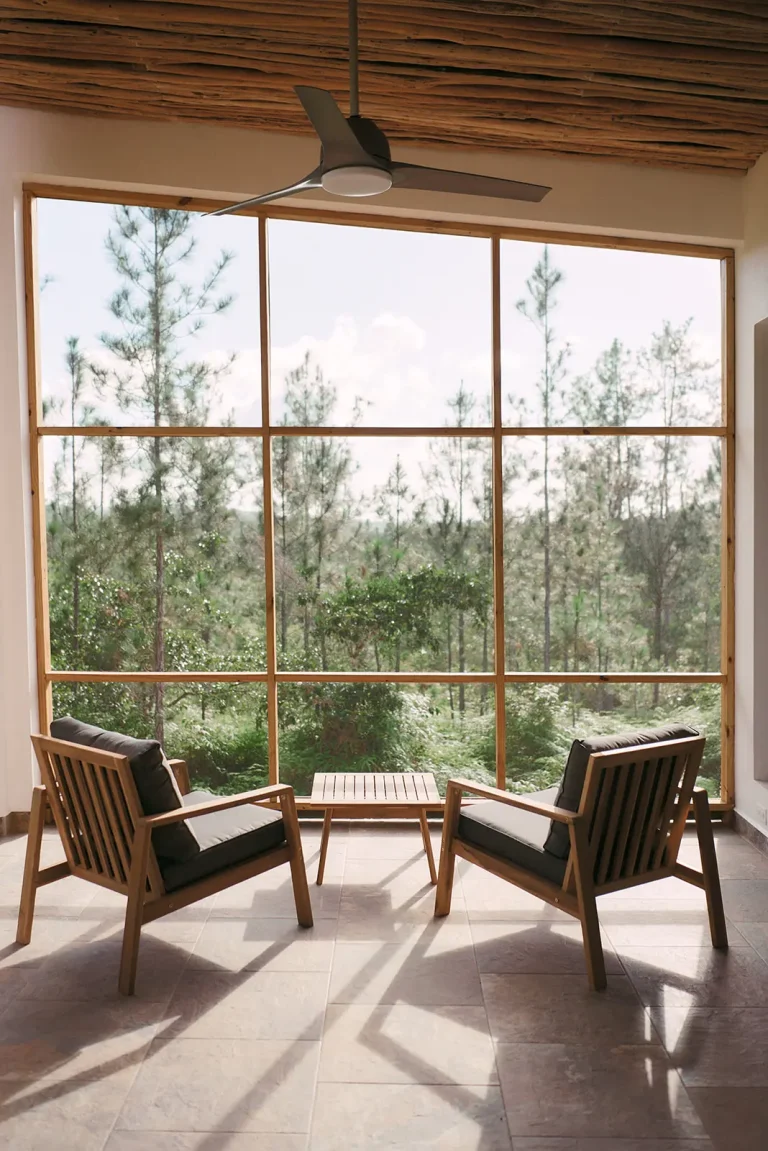 wilderness view with two chairs in mountain pine ridge belize