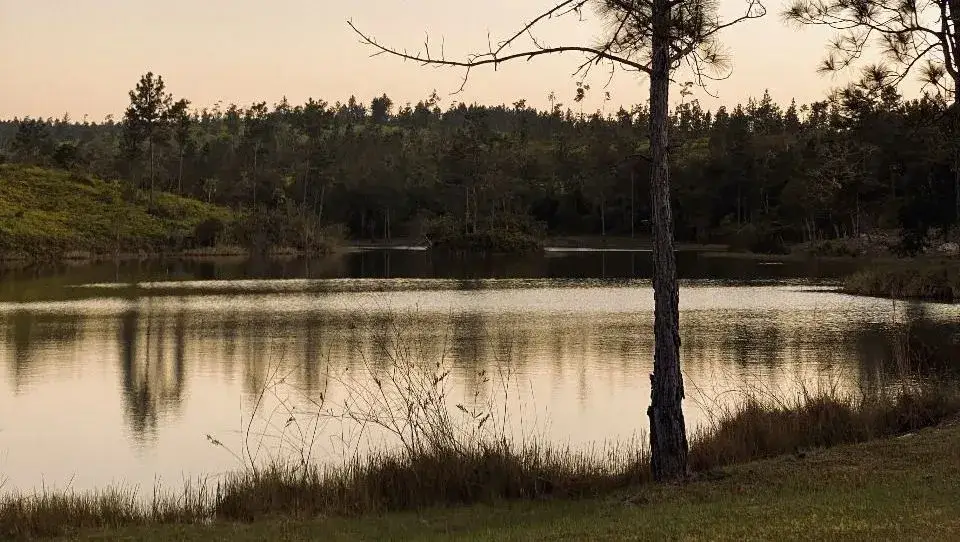 sunset lake with reflections